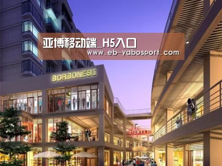 案例展示一