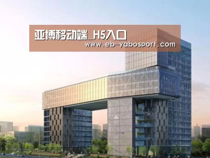 案例展示四