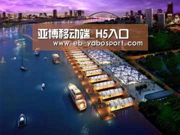 案例展示八