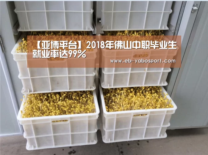 亚博官网