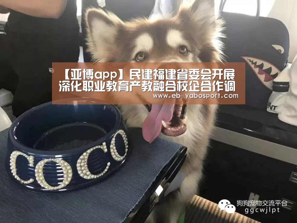亚博官网